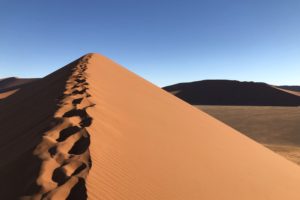 ナミブ砂漠　レンタカー